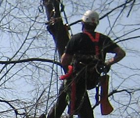 Jawork Seilklettertechnik